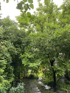 Image from job nr 3