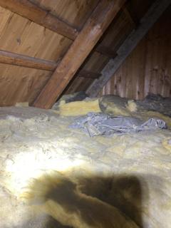 Image from job nr 2