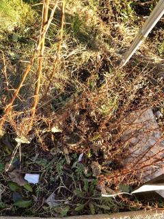 Image from job nr 3