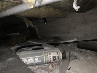 Image from job nr 1