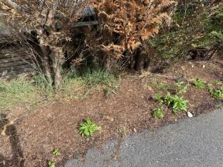 Image from job nr 1