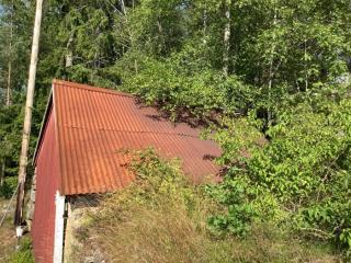 Image from job nr 1