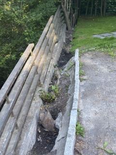 Image from job nr 1