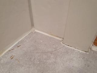 Image from job nr 1