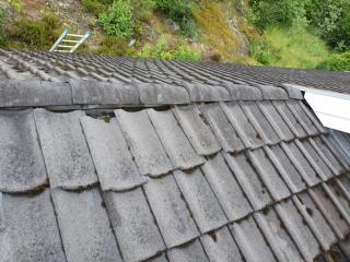 Image from job nr 1