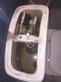 Image from job nr 6