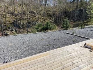 Image from job nr 1