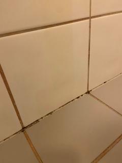 Image from job nr 2