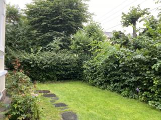 Image from job nr 1