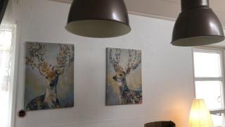 Image from job nr 2