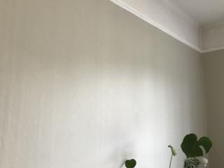 Image from job nr 2