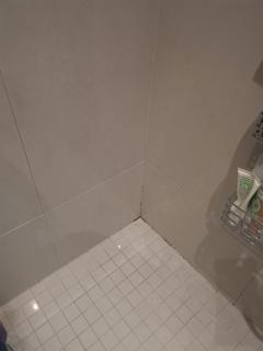 Image from job nr 1