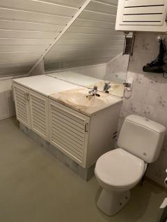Image from job nr 1