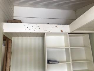 loftseng