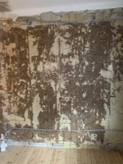 Image from job nr 6