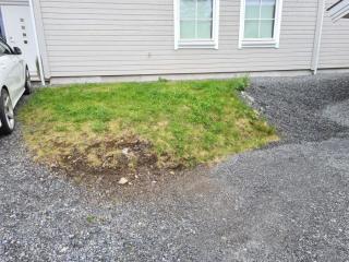 Image from job nr 2
