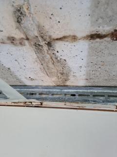Image from job nr 2