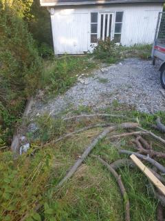 Image from job nr 3