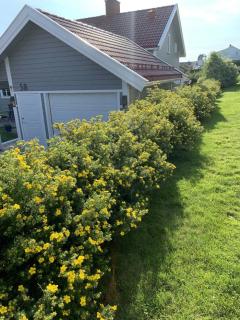Image from job nr 4