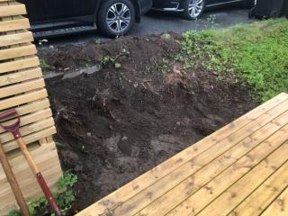 Image from job nr 1