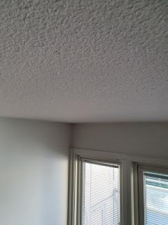 Image from job nr 1