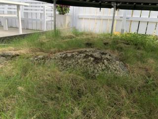 Image from job nr 1