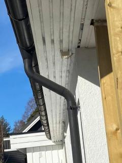 Image from job nr 4