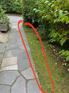 Image from job nr 1