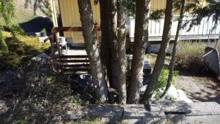 Image from job nr 1