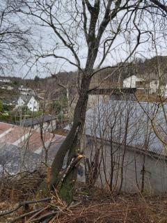 Image from job nr 1