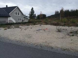 Image from job nr 1