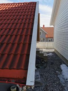 Image from job nr 1