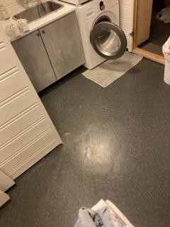 Image from job nr 1