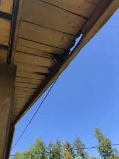 Image from job nr 1
