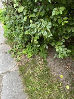 Image from job nr 2