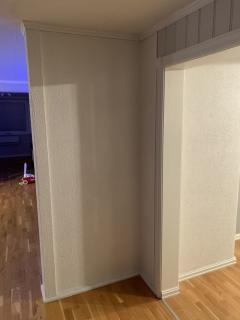 Image from job nr 1