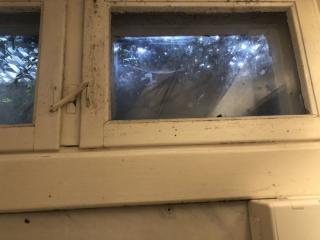 Image from job nr 2
