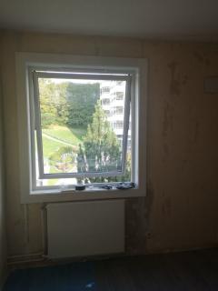 Image from job nr 1