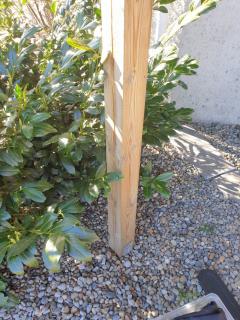 Image from job nr 3