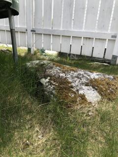 Image from job nr 2