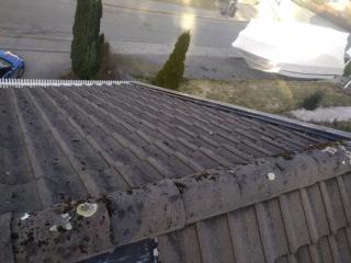 Image from job nr 2