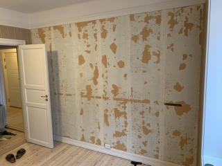 Image from job nr 1