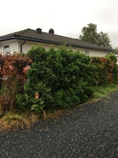 Image from job nr 1