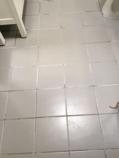 Image from job nr 1