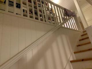 Image from job nr 1