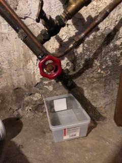 Image from job nr 1