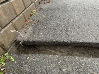 Image from job nr 1