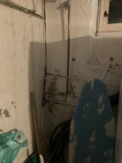 Image from job nr 1