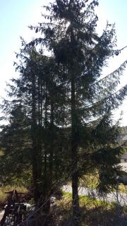 Image from job nr 5
