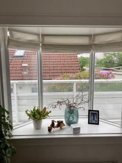 Image from job nr 2